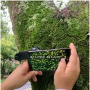 이공칠 | 2025.09.20(토) 무등산국립공원~티에디트 [광주VV여행] 후기