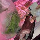 축산채소