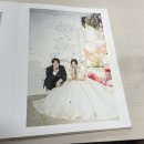 정우다이렉트