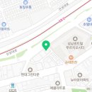 셀린트(CELINT) 이미지