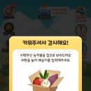 밍디하우스 이미지