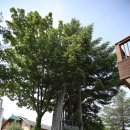 무의목장 이미지