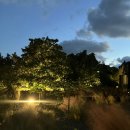 네이처트레일 | 제주서쪽 한림금능 가성비 힐링 커플감성숙소 재방문한 네이처트레일 모던룸후기