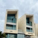 허니댕댕 | 제주 월정리 애견동반 카페 ‘카페씨닉’ | 바다 앞 통창 오션뷰와 빈백