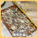 회뜨는곰대소점