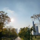 호수공원중앙수목원로 이미지