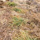 예사랑민박 이미지