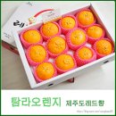 탐라 오렌지