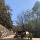 (주)나누우리 | 순천 국민여가캠핑장 캠핑사이트 / 캐빈 이용후기 ft 순천 자연휴양림