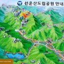 [블랙야크100대2024년 9월 14일 토요일]고창 선운산 & 꽃무릇(석산) 해바라기 메밀꽃잔치 산행안내 이미지