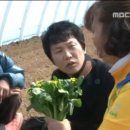 심농장 네이버블로그