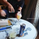 캐슬앤제이펫살롱 | [아비뇽 숙소] 고성 호텔 샤토 드 바렌느(Chateau de Varenne)