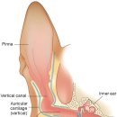 소로동물병원 이미지