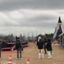 2019 백운포 달맞이축제 이미지