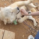 애정농장 이미지