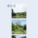 114마트공인중개사사무소 이미지