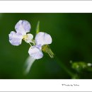 그남자네 이미지