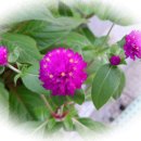 도천어린이집 이미지