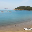 완도10호 이미지