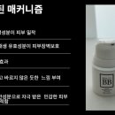비비뷰티샵