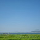 청보리마켓