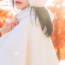 지지배배스튜디오 이미지