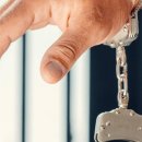 도키즈 수제간식 이미지