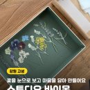 바이몬