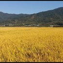 정감 행정사 이미지