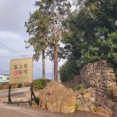 사람없고 가장 저렴하게 즐길 수 있는 제주도 동백꽃 스냅촬영 장소! 볼고롱 동백! &#34;이루다스냅&#34; 후기!