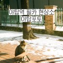 야탑포토 | 야탑역 필카 현상소, 야탑포토