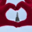 세븐일레븐 인제서화스타점 | 🇯🇵 [삿포로] 비에이투어_흰그림자투어 후기