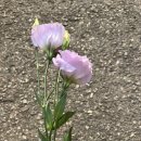 토당문화플랫폼 공감1904 이미지