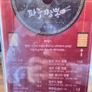 파주짬뽕1981 | 산낙지가 통째로 들어가 있고 즉석 조리하는 파주 짬뽕 맛집 : 파주짬뽕1981