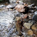 두물민박 이미지