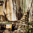 파사성 소나무 이미지