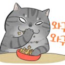 토핑빨 이미지