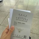 오키나와 자유여행 🏖️✈️