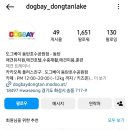 도그베이 동탄호수공원점 이미지