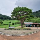 운곡생태습지길 1코스 이미지