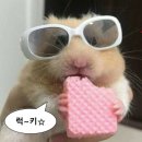 풍기테마호텔 | 서초예식장 마레보인웨이브 추천! 투어 시식후기