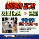 사과/10월15일 11시30분/서울 노원＞＞판교 이미지