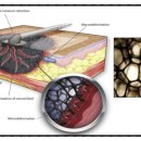 효정메디컬 이미지