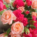 경북도립대학교 | 2021년 경북도립대학교 캡스톤디자인경진대회 타로상담후기