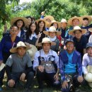 세종시_의회사무처 이미지