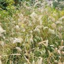 여량축산 이미지