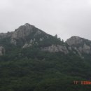 대감별장 Daum카페