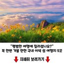 이국적인 자연 풍경을 자랑하는 여행지 이미지