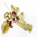 메가플러스학원 이미지