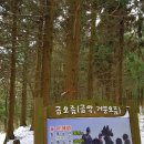 제주도 여행&한라산 산행 이미지